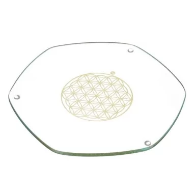 Voyager Energy Plate Gold 22cm Nature's Design