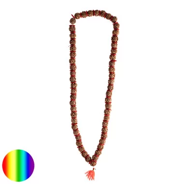 Mala - Rudraksha